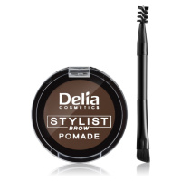 Delia Cosmetics Eyebrow Expert pomáda na obočí odstín Dark Brown 4 g