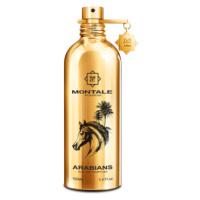 Montale Arabians - EDP 2,0 ml - vzorek s rozprašovačem