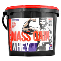 Megabol Whey Mass Gain