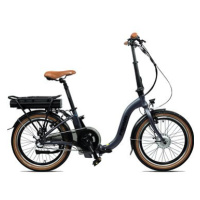 Blaupunkt Franzi 20'' stylish low-step-in E-Folding bike titanium matt
