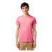 Lacoste CAMISETA HOMBRE TH6709 Růžová