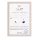 Gaura Pearls Stříbrné pozlacené náušnice s řiční perlou Lydia Gold,stříbro 925/1000 SK21219GEL/W