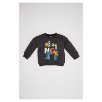 DEFACTO Baby Boy Crew Neck Animal Patterned Soft Furry Sweatshirt