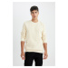 DEFACTO Regular Fit Crew Neck Thick Basic Sweatshirt