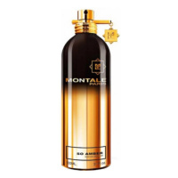 Montale So Amber - EDP 2 ml - odstřik s rozprašovačem