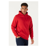 AC&Co / Altınyıldız Classics Men's Red Standard Fit Regular Cut Inner Fleece 3 Thread Hooded Cot