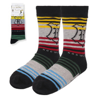 SOCKS HARRY POTTER