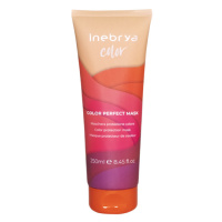 Inebrya Ochranná maska pro barvené vlasy Color Perfect (Hair Mask) 250 ml