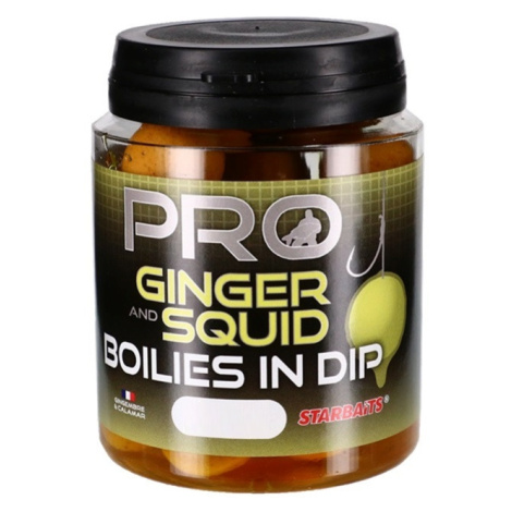 Starbaits boilies in dip probiotic ginger squid 150 g - 20 mm