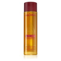 Alcina Nutri Shine vyživující šampon s arganovým olejem 250 ml