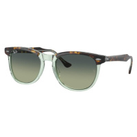 Ray-Ban Eagleeye RB2398 1376BH - L (56)