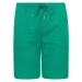 Trendyol Men's Green Regular Fit Paneled Shorts