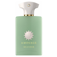 Amouage Meander - EDP 100 ml