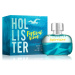 Hollister Festival Vibes for Him toaletní voda pro muže 100 ml