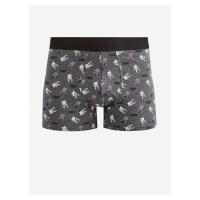 Fiasie Boxerky Celio