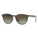 Ray-Ban RB4259 731/E8 - ONE SIZE (51)