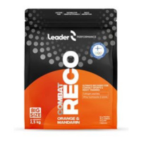 Leader Reco Combat 2,5 kg pomeranč mandarinka (Po výkonu - bojové a kontaktní sporty)