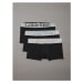 Pánské boxerky CALVIN KLEIN 3 PACK-LOW RISE TRUNK-B- BLACK, ZONI BEACH, ASH LGS