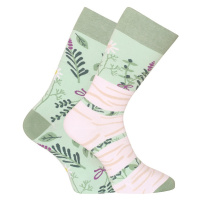 Veselé ponožky Dedoles Bylinky (GMRS138) L