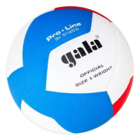 Volejbalový míč GALA Pro Line BV5125S
