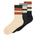 NAME IT Ponožky 'KALEB' béžová / námořnická modř / šedý melír / oranžový melír / černý melír
