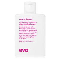 EVO Smooth Smoothing Shampoo uhlazující šampon pro nepoddajné a krepatějící se vlasy 300 ml