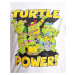 Želvy Ninja tričko, Turtle Power, pánské