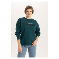 DEFACTO Relax Fit Crew Neck Thick Sweatshirt