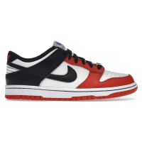 Nike Dunk Low EMB NBA 75th Anniversary Chicago (GS)