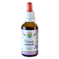 Salvia Paradise Vrbovka malokvětá AF tinktura 50 ml