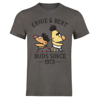 Sesame Street Ernie und Bert - Bros Since 1973 Tričko šedá