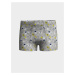 LC Waikiki Printed Boy Boxer