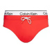 Pánské plavky Pletené spodní díly BRIEF DOUBLE WB KM0KM00959XM9 - Calvin Klein