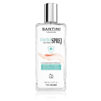 SANTINI Cosmetic Santini spray čisticí sprej na ruce s antimikrobiální přísadou 100 ml