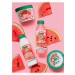 Šampon pro jemné a zplihlé vlasy Garnier Fructis Watermelon Hair Food