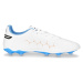 Kopačky Puma King Match FG/AG M 107257 01