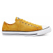 Converse Chuck Taylor All Star Summer Daze