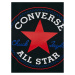 Chuck Taylor All Star Patch Triko Converse