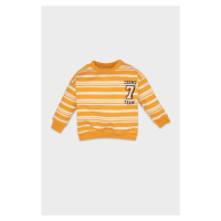 DEFACTO Baby Boy Orange Regular Fit Crew Neck Striped Soft Furry Thin Sweatshirt