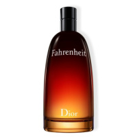 Dior Fahrenheit Eau de Toilette toaletní voda 200 ml