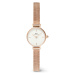 Dámské hodinky Daniel Wellington Petite Mini 19 Melrose