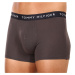 3PACK pánské boxerky Tommy Hilfiger vícebarevné (UM0UM02203 0XX)