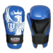 Boxerské rukavice Masters Rose-Eagle 012135-02M