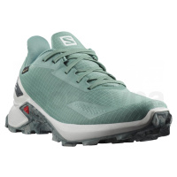 Salomon Alphacross Blast GTX L41284600 - trellis/lunar rock