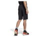 adidas Terrex Xperior Hiking Shorts