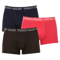 3PACK pánské boxerky Tommy Hilfiger vícebarevné (UM0UM02850 0T0)