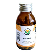 Salvia Paradise Psyllium kapsle 60 ks