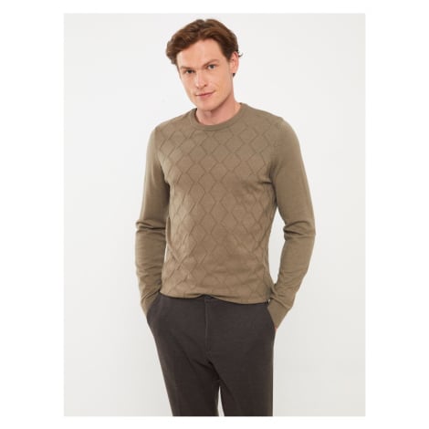 LC Waikiki Crew Neck Long Sleeve Men's Knitwear Sweater