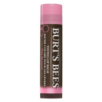 Burt's Bees Tinted Lip Balm Pink Blossom Balzám Na Rty 4.25 g