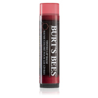 Burt’s Bees Tinted Lip Balm balzám na rty odstín Red Dahlia 4.25 g